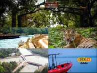 PTR News : पीलीभीत टाइगर रिजर्व के सफारी वाहन हाउसफुल, लेकिन इस तरीके से कर सकते हैं सैर