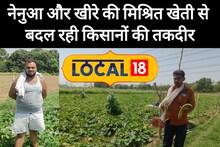 नेनुआ और खीरे की मिश्रित खेती से किसानों की बदल रही है तकदीर, 20 हजार लागत लगाकर कर रहे हैं अच्छी कमाई 