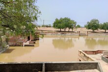 Bikaner : मानसून से पूर्व हुई बरसात ने लौटाई प्राचीन तालाबों की रंगत, तालाबों के पास पिकनिक मना रहे पर्यटक