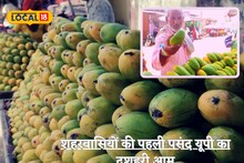करौली के लोगों की पहली पसंद बना यूपी का दशहरी आम, लाजवाब है इसका स्वाद, रोज 10 टन आम की खपत