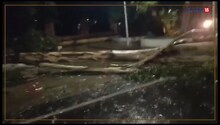 Cyclone Biporjoy Effect: भागलपुर में आया आंधी-तूफान, भारी बारिश से मिली राहत, देखें VIDEO