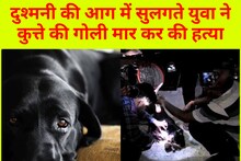 कुत्ते का 'दुश्मन' बन बैठा युवक! बदले की भावना से गोली मार कर डॉग की ली जान