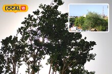 Cyclone Biparjoy: मौसम का बदला  मिजाज, करौली में  ठंडी हवाओं के चलते गर्मी से मिली राहत