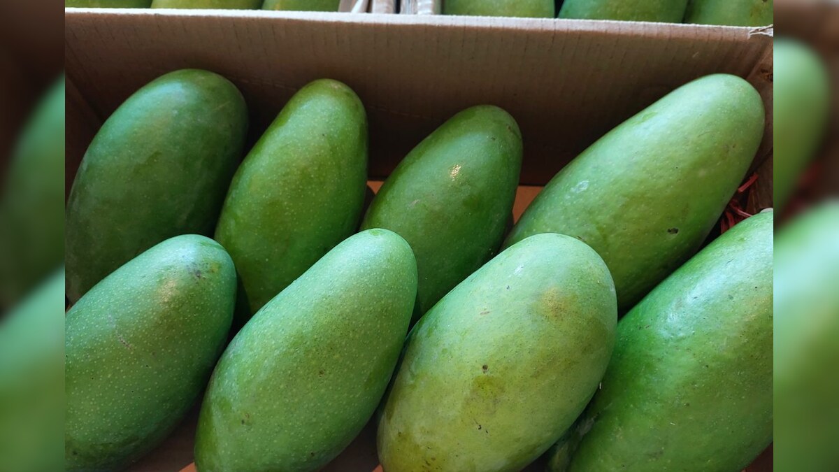 Mango Fest in Moscow: उत्तर प्रदेश के आमों का स्वाद लेंगे मॉस्को के लोग, 7 जुलाई से आम महोत्सव का होगा आयोजन