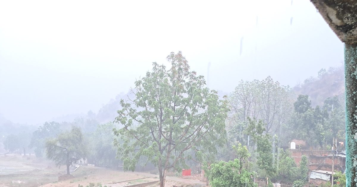 Monsoon Update: गया में 'हैप्पी वाला मानसून', लगातार बारिश से मौसम हुआ ठंडा- ठंडा, कूल-कूल, जानें अपडेट - Monsoon in gaya 24 hours of rain made weather  cool temperature falls by 15 degree –