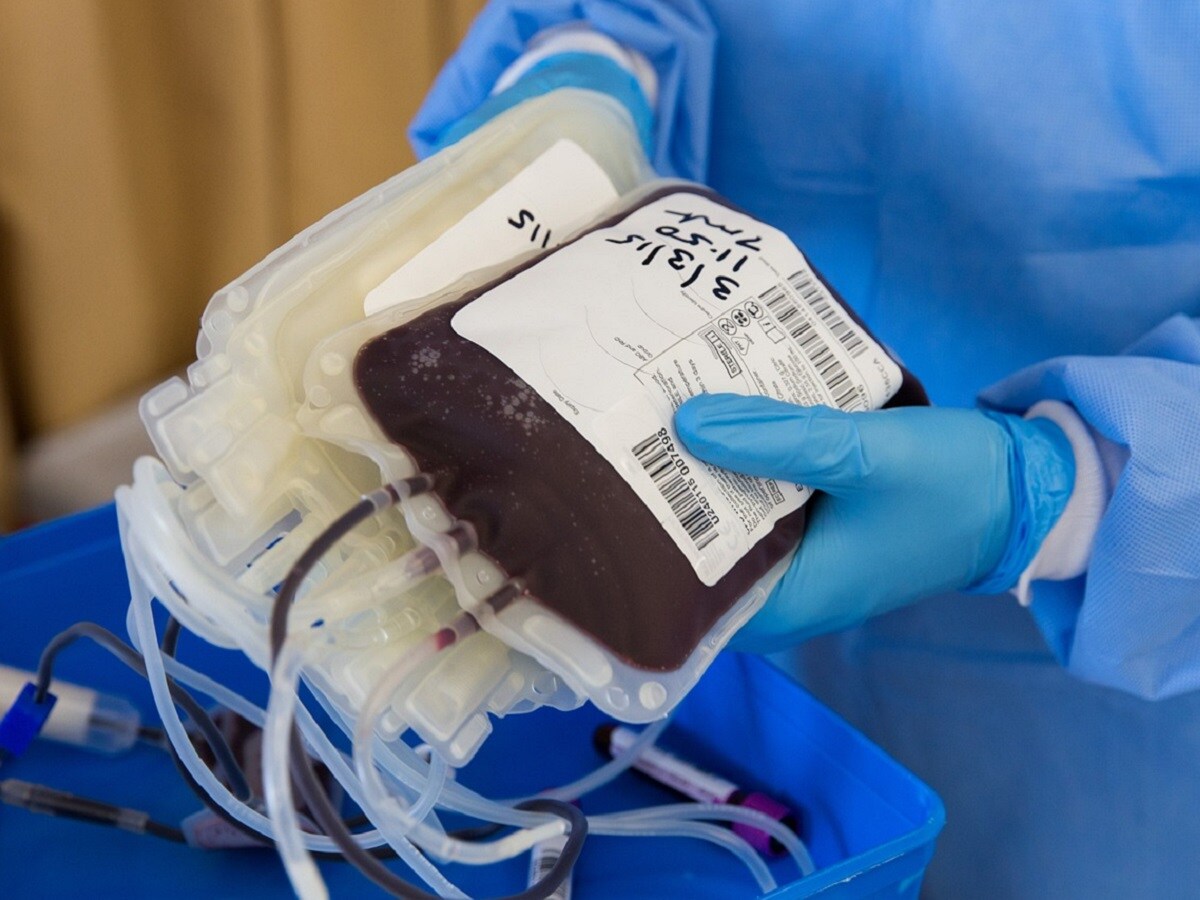 World, Research, Health, World Blood Donor Day 2023, World Blood Donor Day, give blood, give plasma, share life, share often, Why blood donation is important, blood donation, Blood Transfusion, 