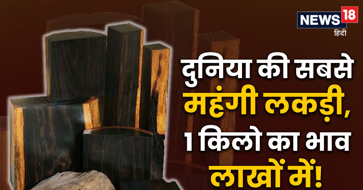 'पुष्पाराज' के लाल चंदन से भी ज्यादा कीमती, सबसे गरीब देशों में मिलती