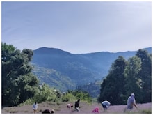 क्या है ‘बैंगनी क्रांति’ जो पूरे देश में फैल रही है,जानें J&K के साथ इसका नाता