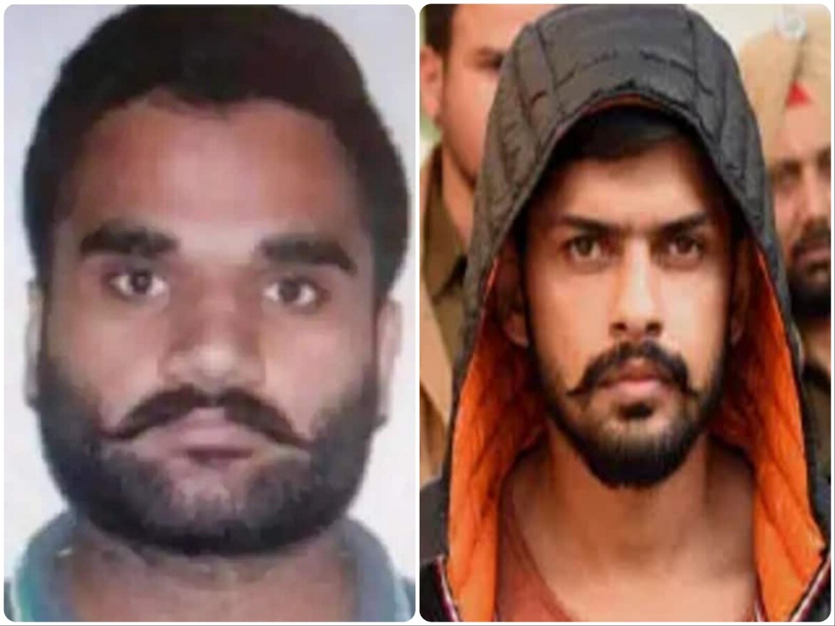 Gangster Goldy Brar, Rapper Honey Singh, A+ category criminal, Lawrence Bishnoi gang, Youth Congress Leader Gurlal Singh Pahalwan, Murder Case, Siddhu Musewala Murder Case, Punjabi Singer, Crime News, News18, News18 Hindi, Knowledge News, Knowledge News Hindi, Salman khan