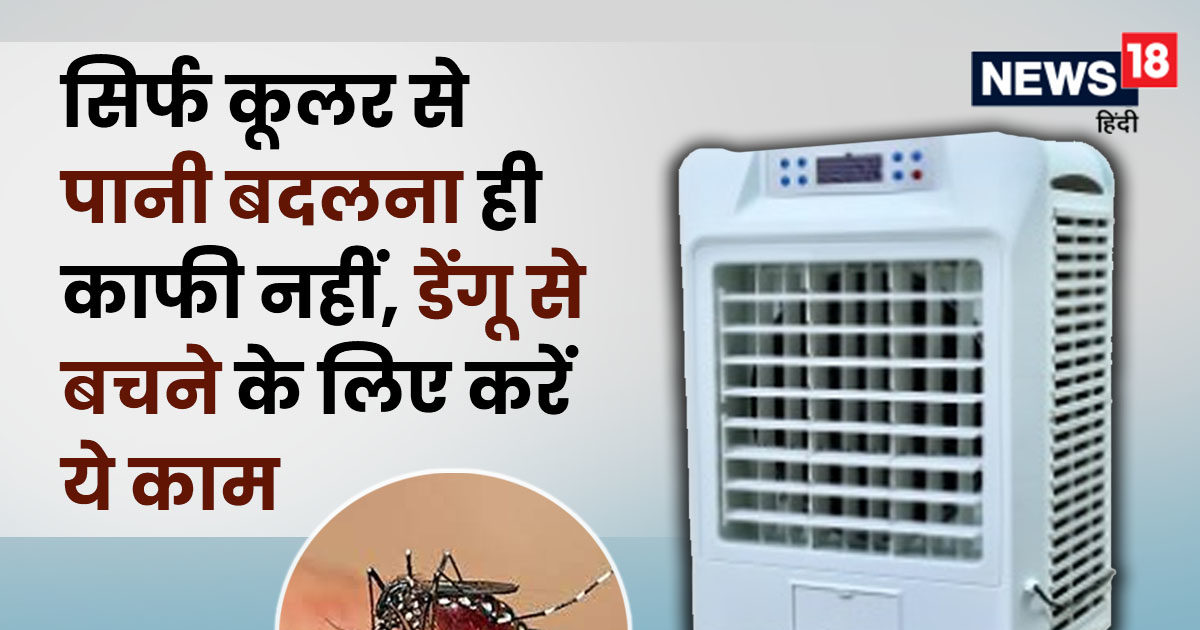कितने दिनों पर बदलना चाहिए कूलर का पानी, किस चीज से करें सफाई जिससे न