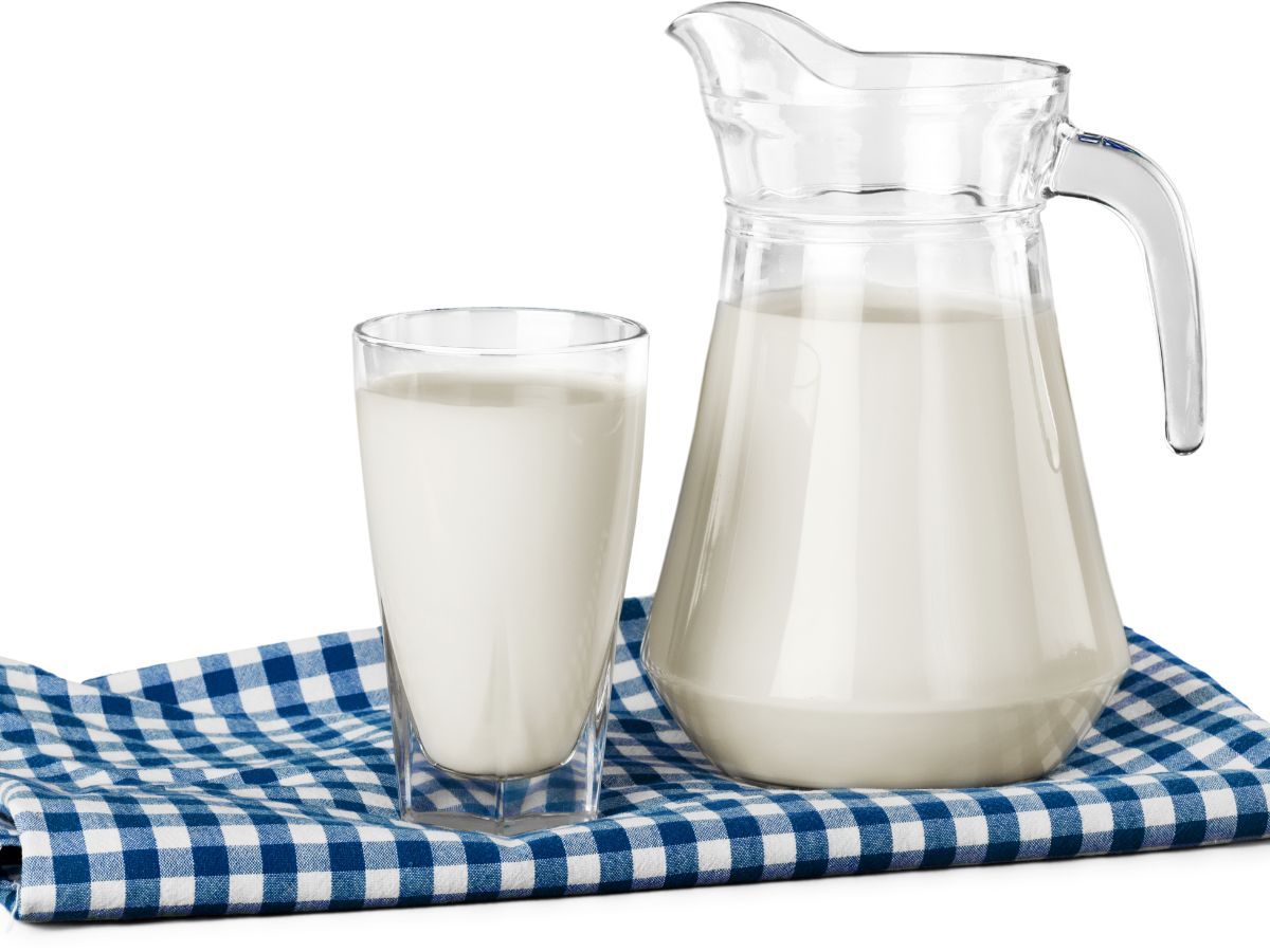 स्वाद का सफ़रनामा हड्डियां मजबूत कर इम्यूनिटी बढ़ाता है गाय का दूध