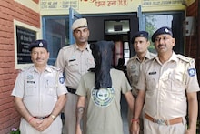 Drugs Peddling: हिमाचल में अब फेरीवालों की तरह गली-गली बिक रहा चिट्टा, पंजाब का युवक गिरफ्तार