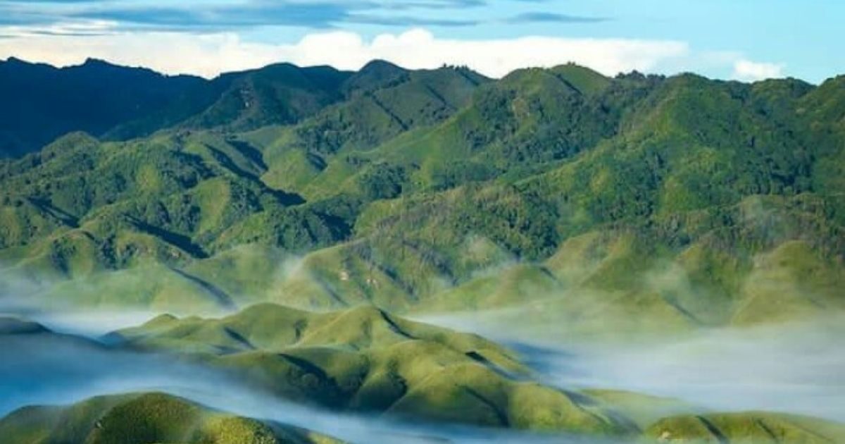 Dzokou Valley Nagaland