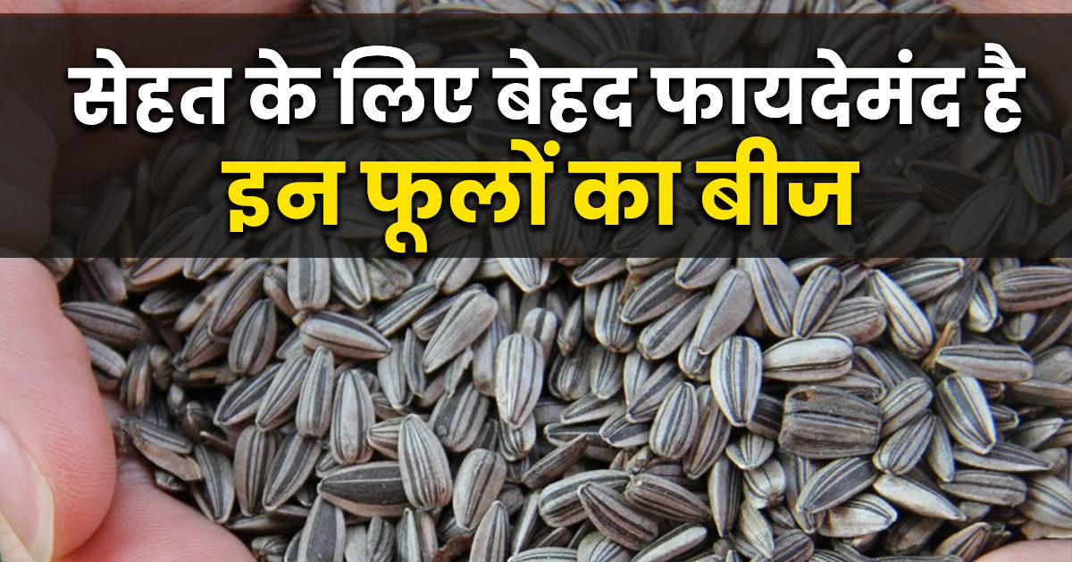 इस फूल के बीज को खाने से हड्डियां होंगी लोहे सी मजबूत, दिल की सेहत को