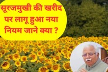 हरियाणा में सूरजमुखी की खरीद पर नया नियम लागू, किसानों को होगा फायदा  