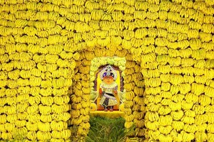 Photos: 21000 केलों की वाटिका में विराजे वीर अलीजा, अद्भुत श्रृंगार देख हो जाएंगे भाव विभोर