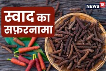 स्वाद का सफ़रनामा: ब्लड ग्लूकोज़ कंट्रोल करती है पिपली, लिवर के लिए भी है लाभकारी, गुणों से भरपूर है यह मसाला