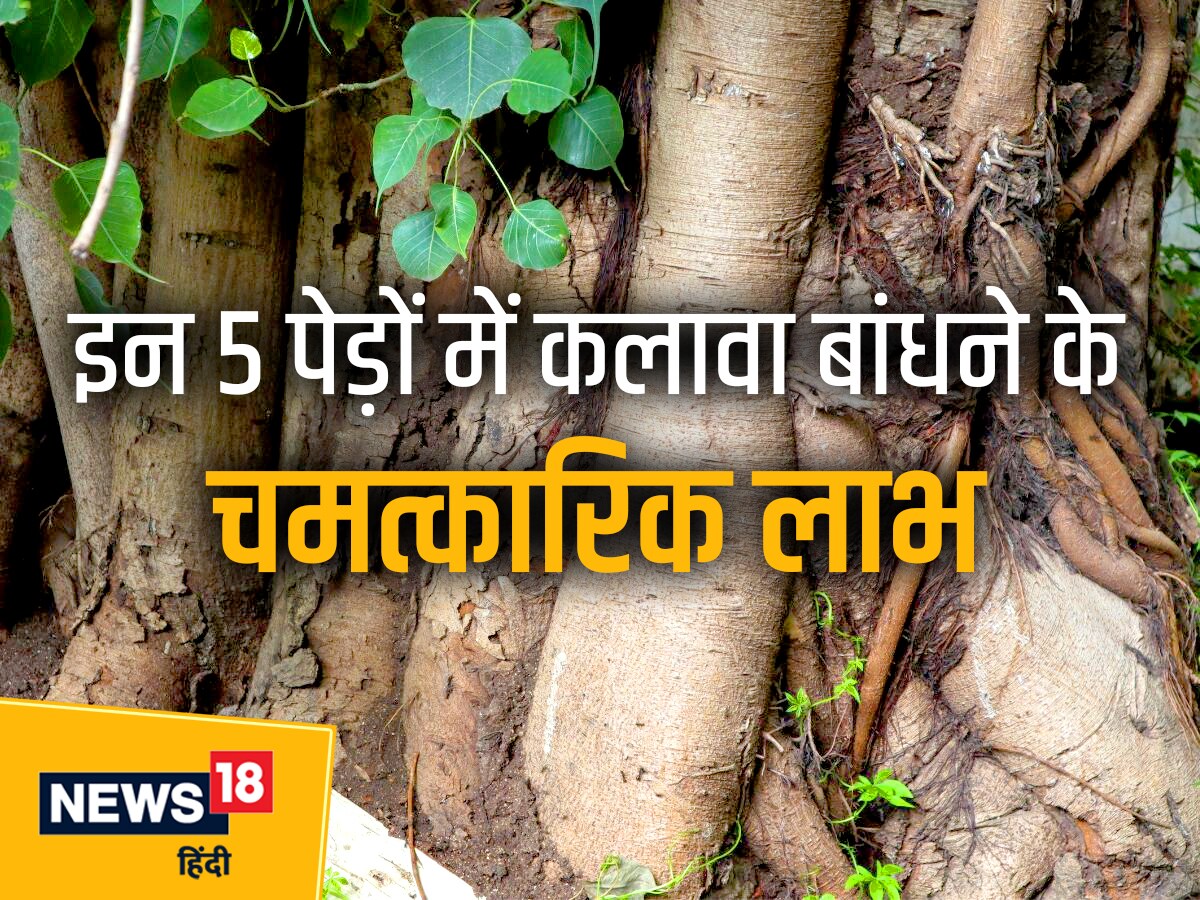 वृक्षासन करने का तरीका और फायदे – Vrikshasana (Tree Pose) steps and  benefits in Hindi