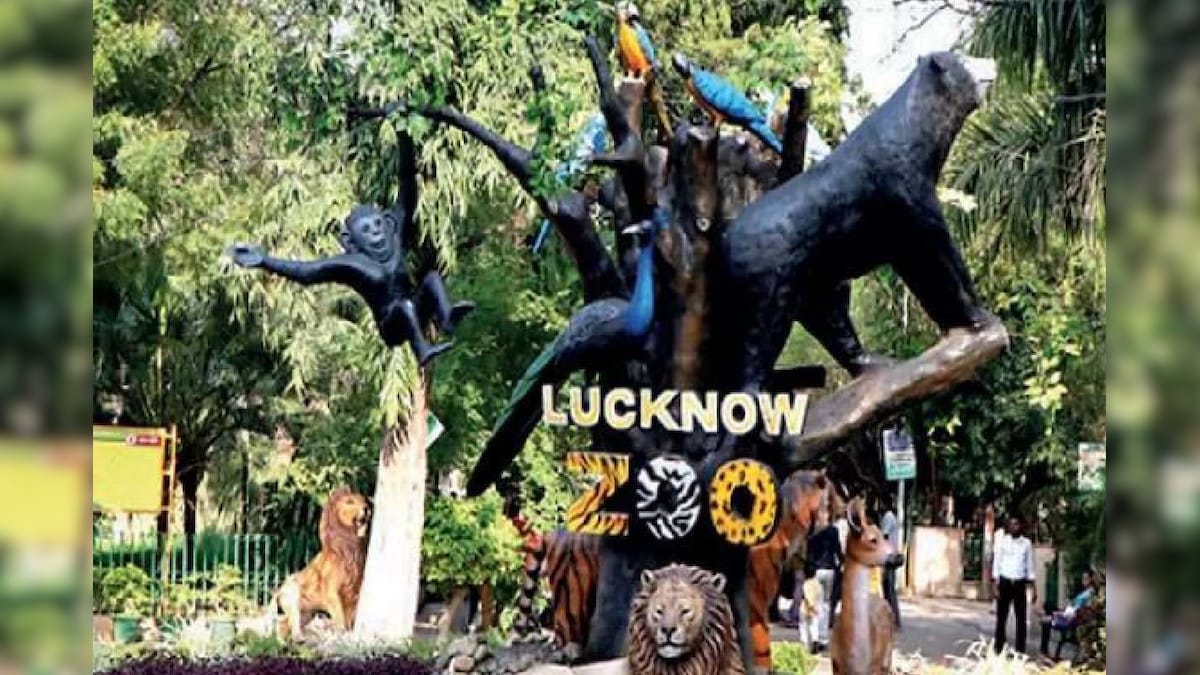 Lucknow Zoo : &#039;पृथ्वी&#039; के चाहने वालों के लिए बुरी खबर, लखनऊ चिड़ियाघर से आया बड़ा अपडेट