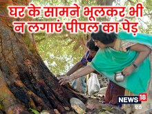 घर में पीपल के पेड़ की छाया पड़ना भी माना जाता है अशुभ, जल्दी कर लें ये 4 उपाय