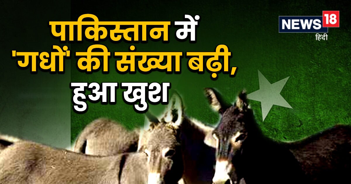 Pakistan News: पाकिस्‍तान में एक साल में बढ़ गए 100,000 'गधे', सरकार ...