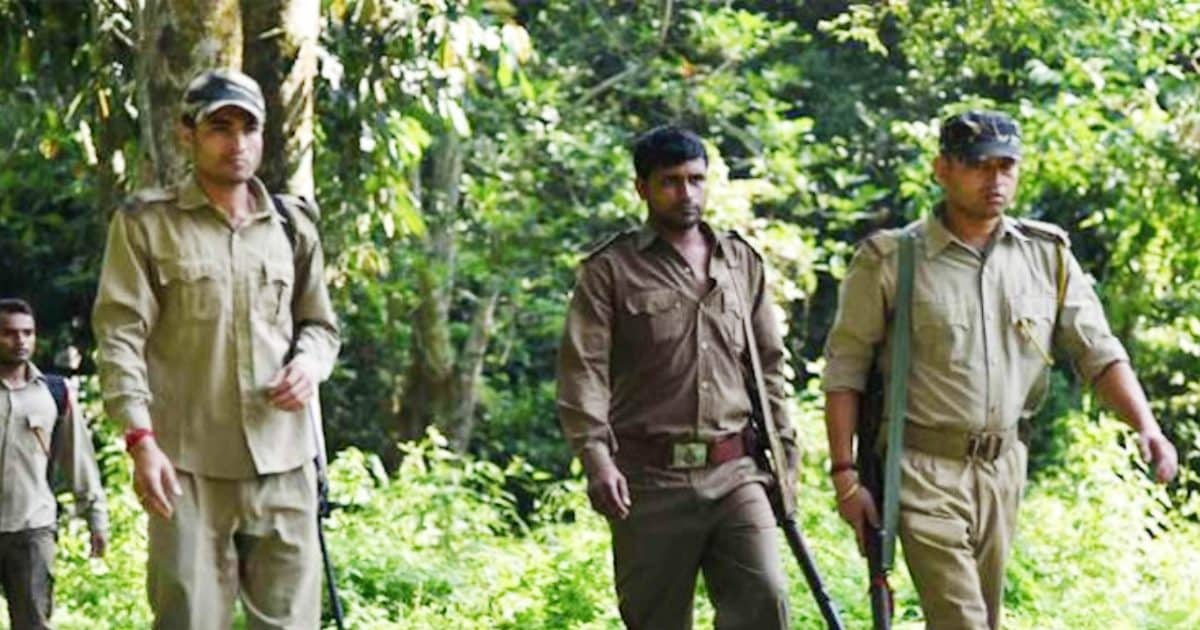 Forest Guard Recruitment 2023: वन विभाग में नौकरी की भरमार, 10वीं, ग्रेजुएट  करें आवेदन, लाखों में होगी सैलरी - Sarkari Naukri Forest Guard Recruitment  2023 10th pass govt job in Forest Department