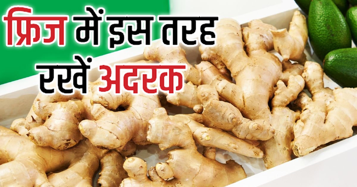 How to Store Ginger in Fridge फ्रिज में भी सूख जाता है अदरक, अपनाएं 4