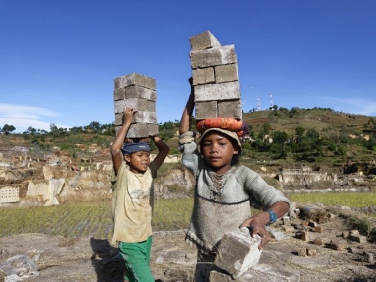 World Day against Child Labor 2023 Social Justice for All End Child Labor -  सभी को सामजिक न्याय देने से खत्म होगा बालश्रम – News18 हिंदी
