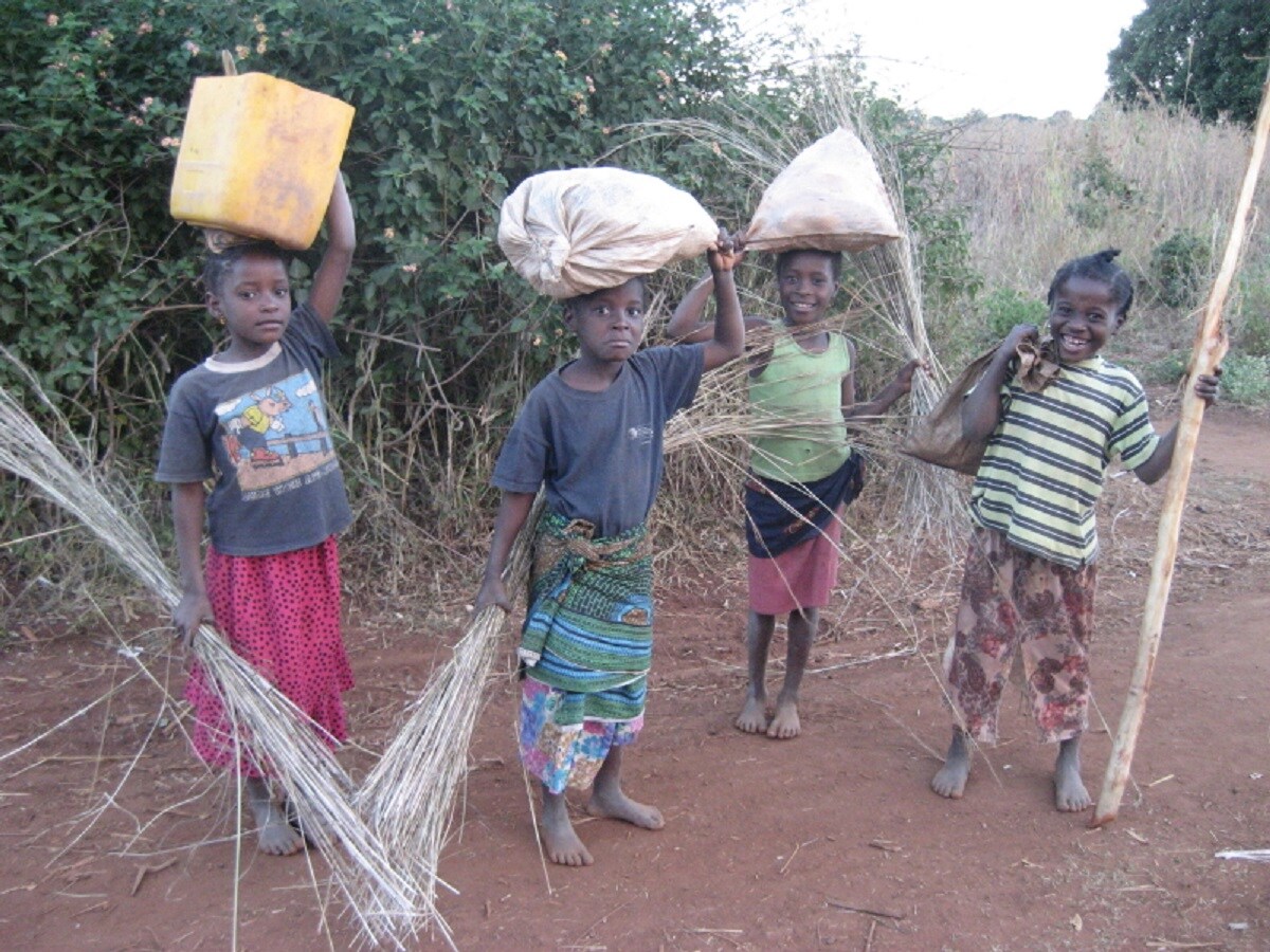 World, Research, United Nations, Child Labour, Child Rights, UNECEF, World Day against Child Labour, World Day against Child Labour 2023, Universal Social Protection to End Child Labour, ILO,