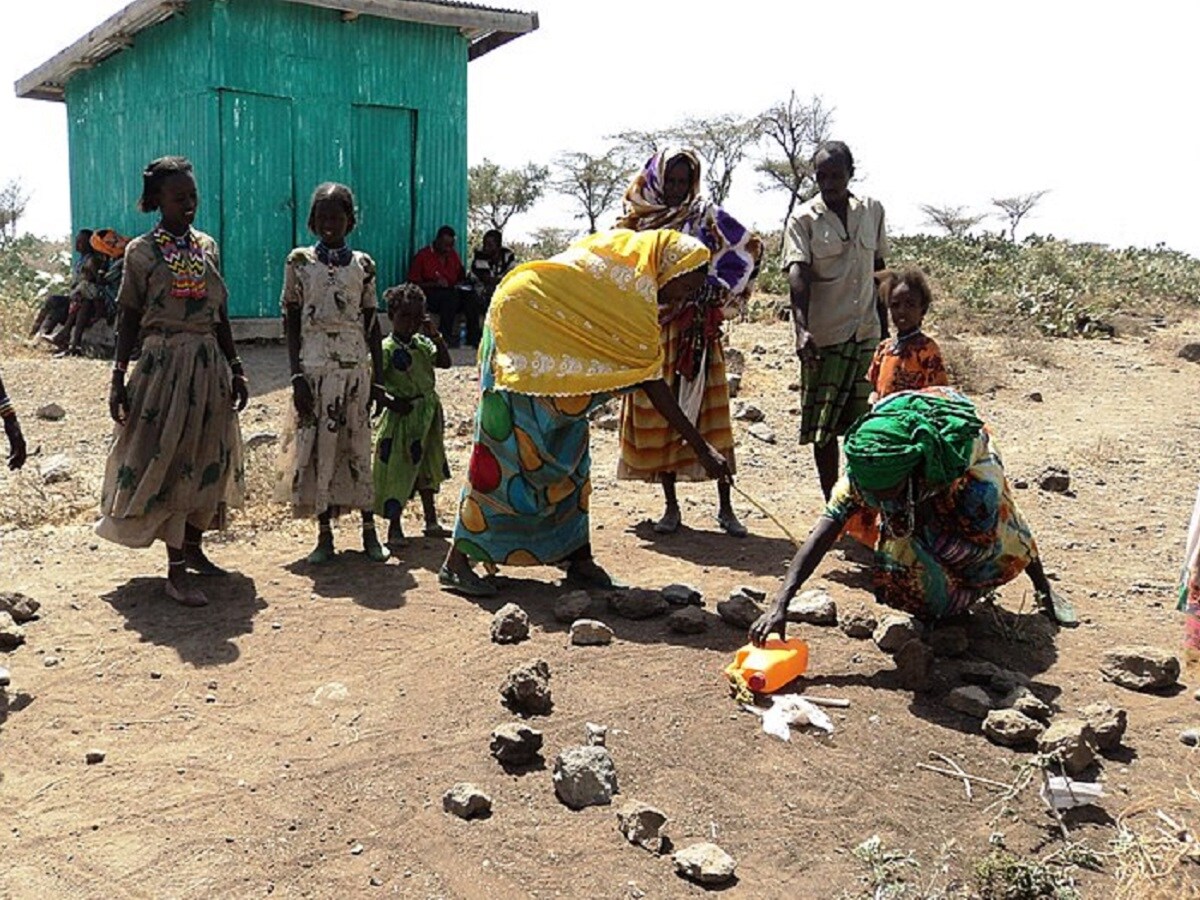 World, Science, Research, United Nations, Environment, World Day to Combat Desertification and Drought, Desertification, Drought, Restoration, land, Recovery, Their Land Their Rights, World Day to Combat Desertification and Drought 2023,