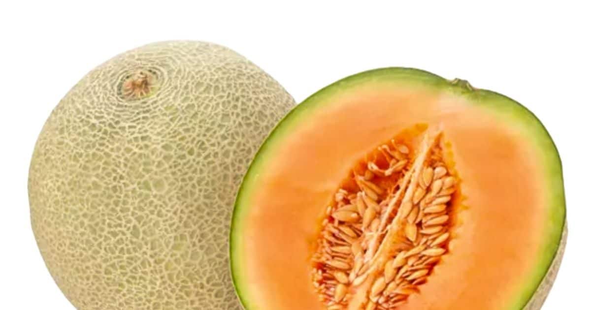 ये है वर्ल्ड का सबसे कॉस्टली फ्रूट, लाखों में है एक किलो फल की कीमत, जानें क्या है वजह Yubari