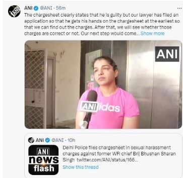 sakshi malik, brijbhushan sharan singh, wrestlers protest, wrestler protests, sakshi malik on brijbhushan sharan singh, vinesh phogat, bajrang punia, wfi president brijbhushan sharan singh, wrestlers protest brijbhushan sharan singh, sakshi malik reacts on charegesheet, बृजभूषण शरण सिंह, साक्षी मलिक 