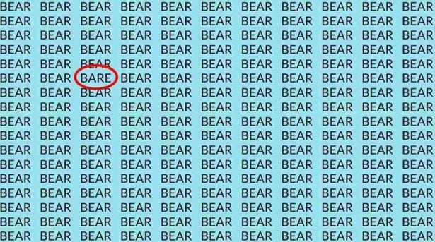 can you spot an odd word, spot an odd word among bear, spot an odd word among bear in this picture, spot an odd word within 8 seconds, optical illusion challenge, optical illusion