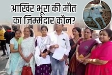 पिटबुल की तलाश के बीच हैरान करने वाला मामला! DM कार्यालय पहुंची डॉग लवर की टीम, भूरा की मौत का जिम्मेदार कौन?