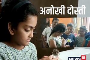 PHOTOS: लड़की ने बचाई जान तो दोस्त बन गई चिड़िया, अनोखी है दोनों की फ्रेंडशिप