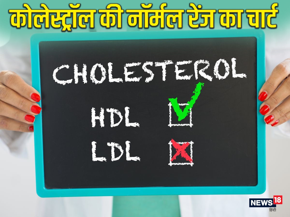 What Is Ldl Hdl Ratio In Hindi - Infoupdate.org