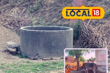 राजस्थान के इस गांव के लोगों पेश कर रहे मिसाल, भीषण गर्मी में आवारा पशुओं की बुझा रहे प्यास