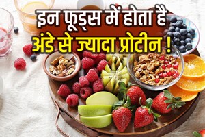 ब्रेकफास्ट में शामिल करें 5 प्रोटीन रिच फूड्स, अंडा खाने की नहीं पड़ेगी जरूरत, दिनभर रहेगी भरपूर एनर्जी