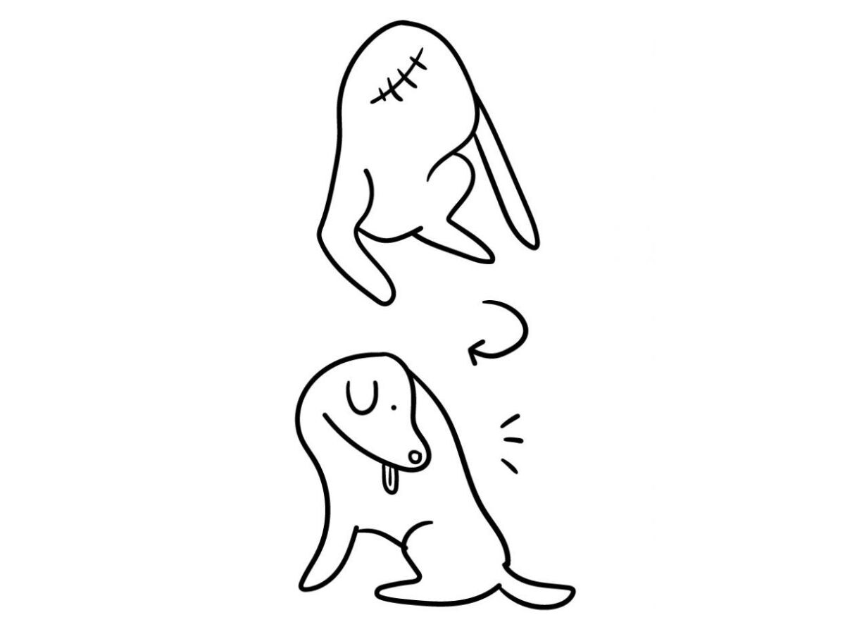 headless dog photo