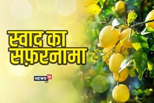 स्वाद का सफ़रनामा: दिल के लिए लाभकारी है गलगल, डाइजेशन भी रखता है दुरुस्त, पहाड़ी इलाकों से जुड़ा है नाता
