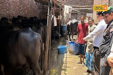 Saharanpur News: गंदगी फैलाने पर नगर निगम हुआ सख्त ! नालियों में गोबर बहाने वाली आठ पशु डेयरी फार्म पर लगा जुर्माना
