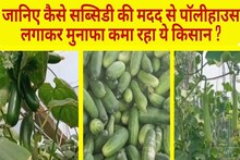 सब्जी और फूल की खेती करने वाले किसानों के लिए अच्छी खबर, पॉलीहाउस  पर मिल रही इतनी सब्सिडी