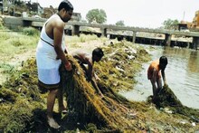 Chitrakoot News : बुंदेली सेना का नदी सफाई अभियान जारी, लोगों की सद्बुद्धि के लिए की गई प्रार्थना, जानिए कारण