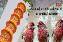 Mahendragarh News : बेजुबानों को बचाने की अनोखी मुहिम, 73 फीट ऊंचे टावर में होगा पक्षियों का बसेरा