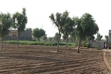 Agriculture News: खरीफ की बुवाई शुरु, जानें पैदावार के लिए किस महीने में कौन सी अच्छी रहेगी किस्में