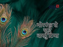 घर के कोने में इस तरह लगाएं मोर पंख, दूर होगी आर्थिक तंगी, मिलेगा भाग्य का साथ