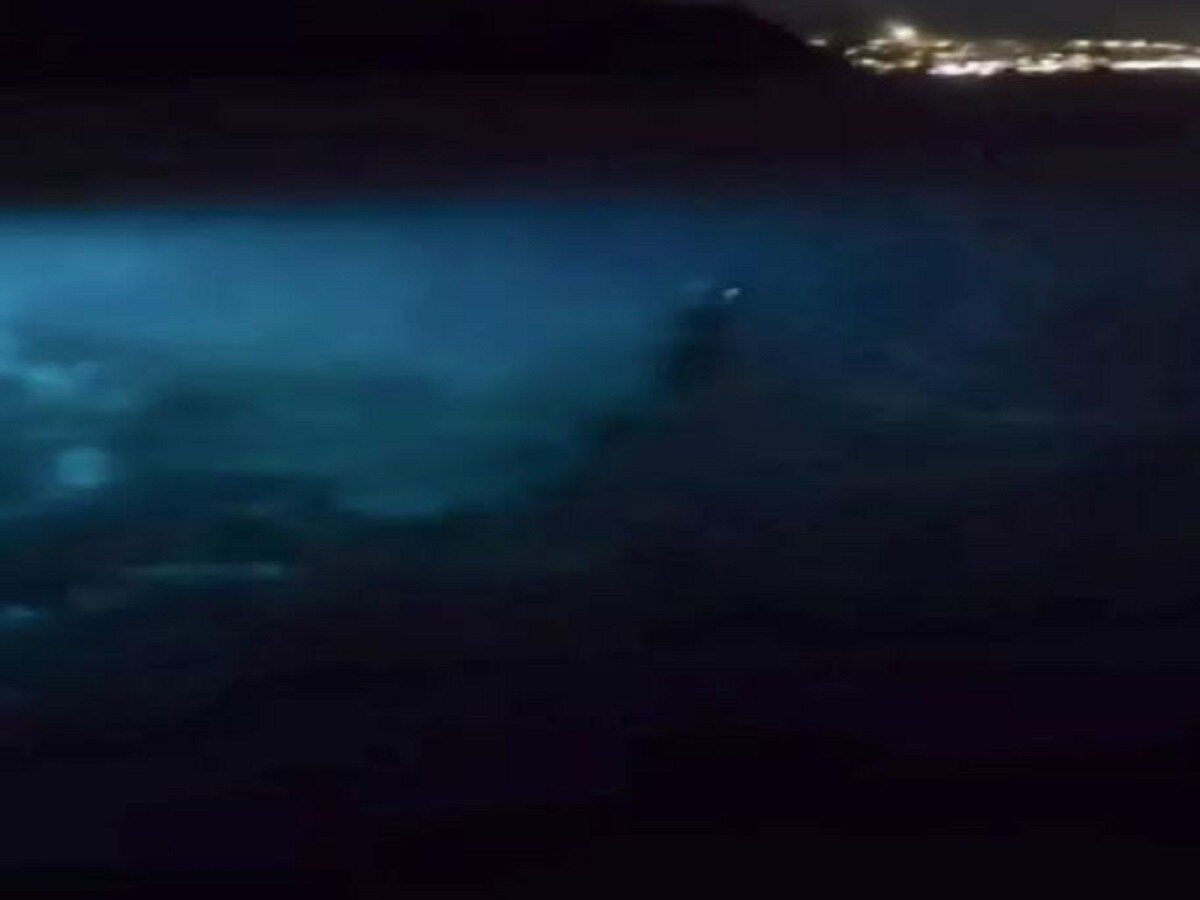mermaid on camera