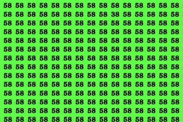 can you spot hidden number, spot hidden number in rows of 58, spot hidden number within 8 second, optical illusion challenge, optical illusion, Can you spot hidden number among 58, viral illusion, viral puzzle