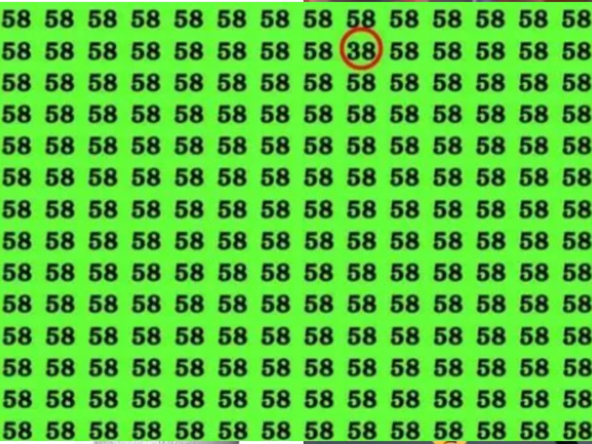 can you spot hidden number, spot hidden number in rows of 58, spot hidden number within 8 second, optical illusion challenge, optical illusion, Can you spot hidden number among 58, viral illusion, viral puzzle