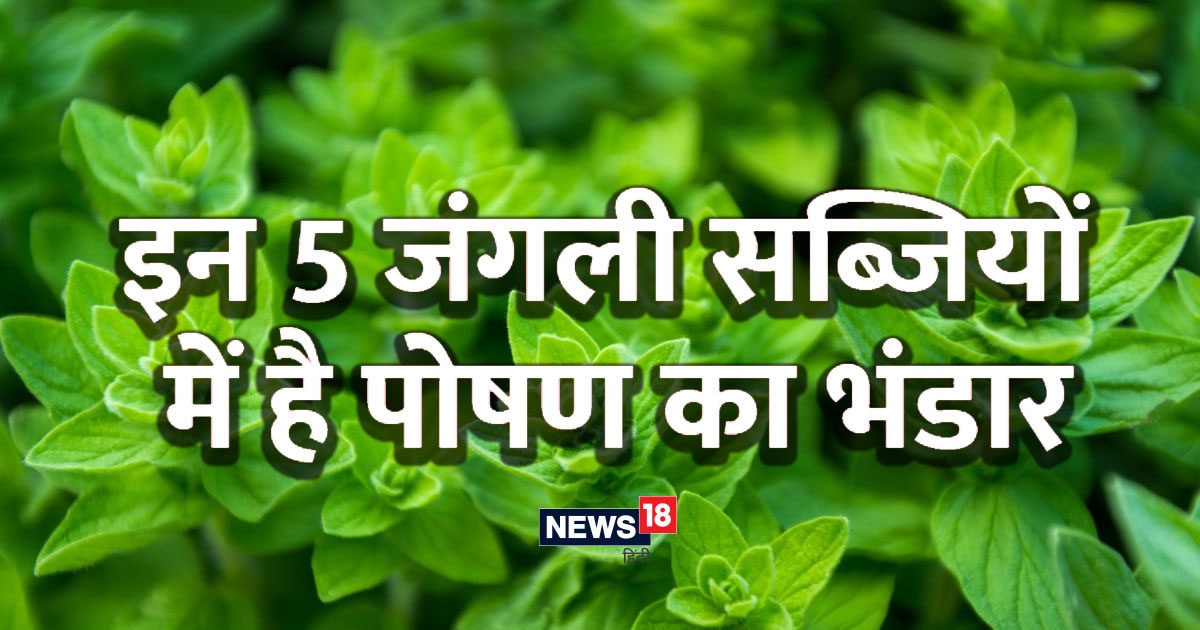 Include these 5 wild vegetables in your diet, will keep you healthy and fit
